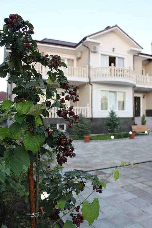 Guest House Sofia 코불레티 외부 사진