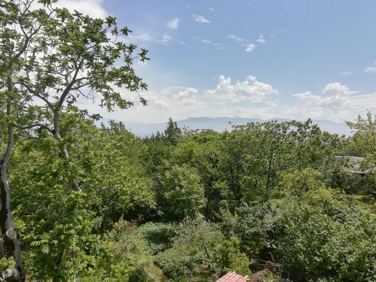 Guest House Sofia 코불레티 외부 사진